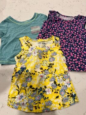 Girl’s 3T shirt lot